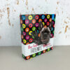 Segregator A5 2-ringowy Best Friend Collection 5905669092333-5