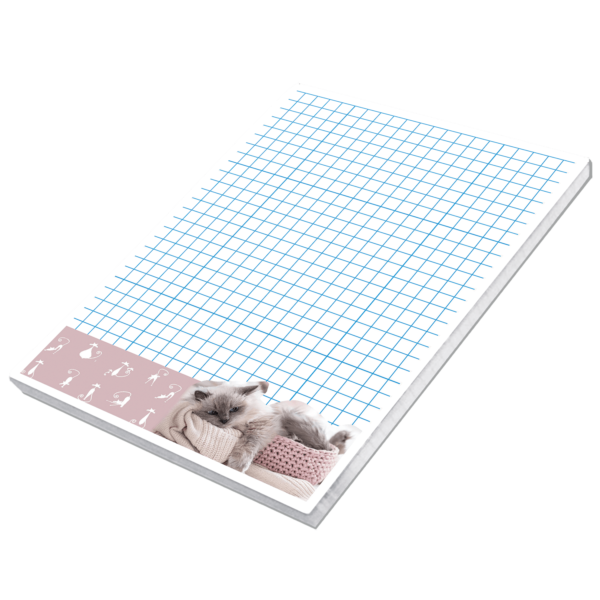 Notes A6 Best Friend 5903641205429-13