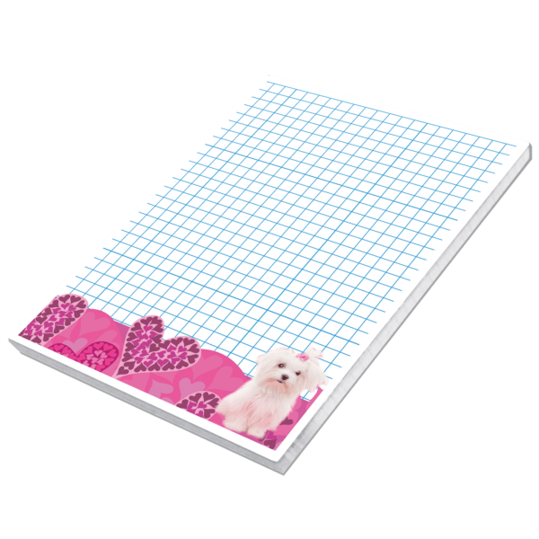 Notes A6 Best Friend 5903641205429-3