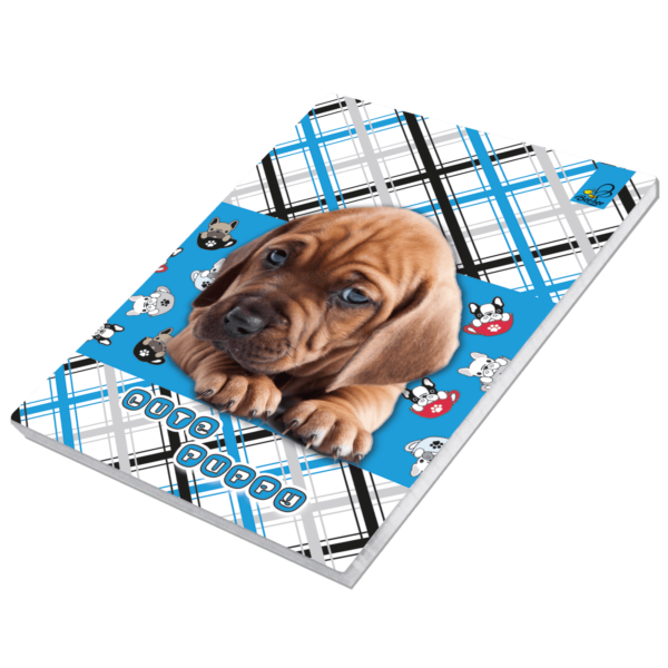 Notes A6 Best Friend 5903641205429-6