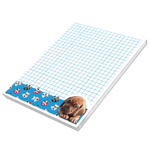 Notes A6 Best Friend 5903641205429-7