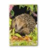 Zeszyt A4 48 kartek 90g w linie Wild Life 5601199205327-1