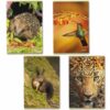 Zeszyt A4 48 kartek 90g w linie Wild Life 5601199205327