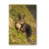 Zeszyt A4 48 kartek 90g w linie Wild Life 5601199205327-3