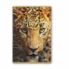 Zeszyt A4 48 kartek 90g w linie Wild Life 5601199205327-4