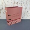 Segregator A4 z dźwignią lady bug biedronki 5604730105056-1