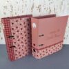 Segregator A4 z dźwignią lady bug biedronki 5604730105056