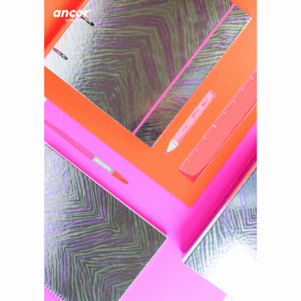 Segregator A4 4-ringowy z wkładem i przekładkami w linie PINK ZEBRA - obrazek 3