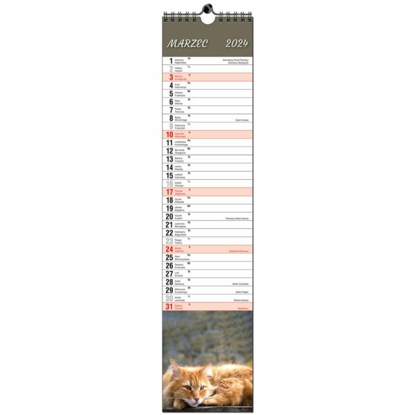 Kalendarz 2024 paskowy do notatek terminarz Koty