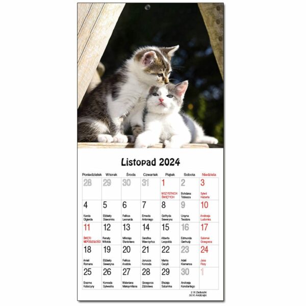 Kalendarz 2024 dla dzieci 16×32 13 planszowy KOCIAKI KOTY