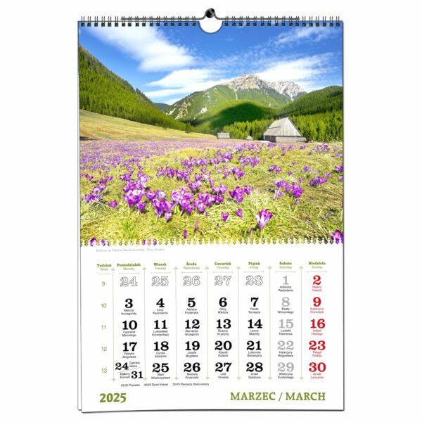 Kalendarz 2025 ścienny B3 33 x 48 cm 13 planszowy TATRY - obrazek 5